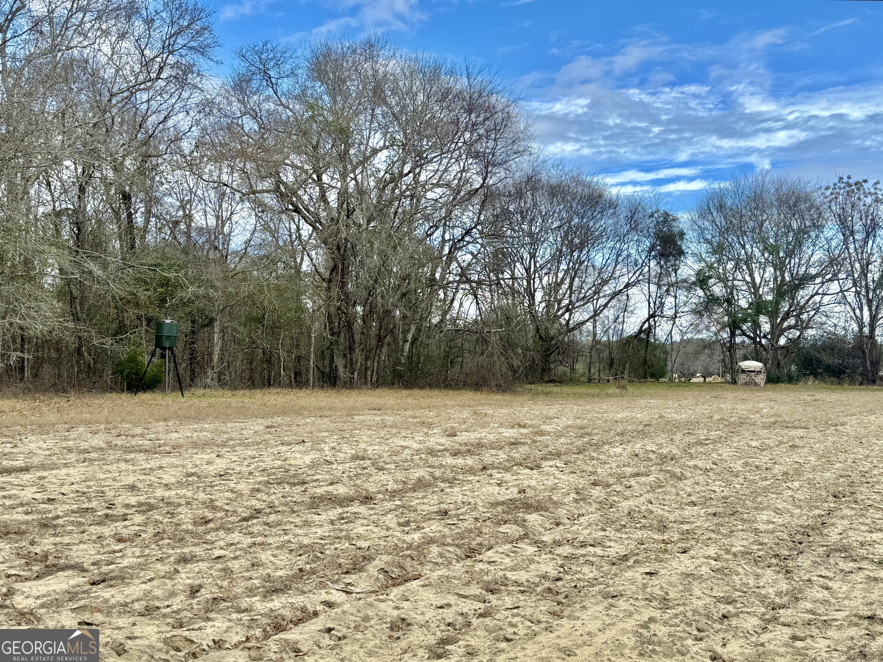 0 Davis Road Dexter, GA 31022 - Photo 4 of 17