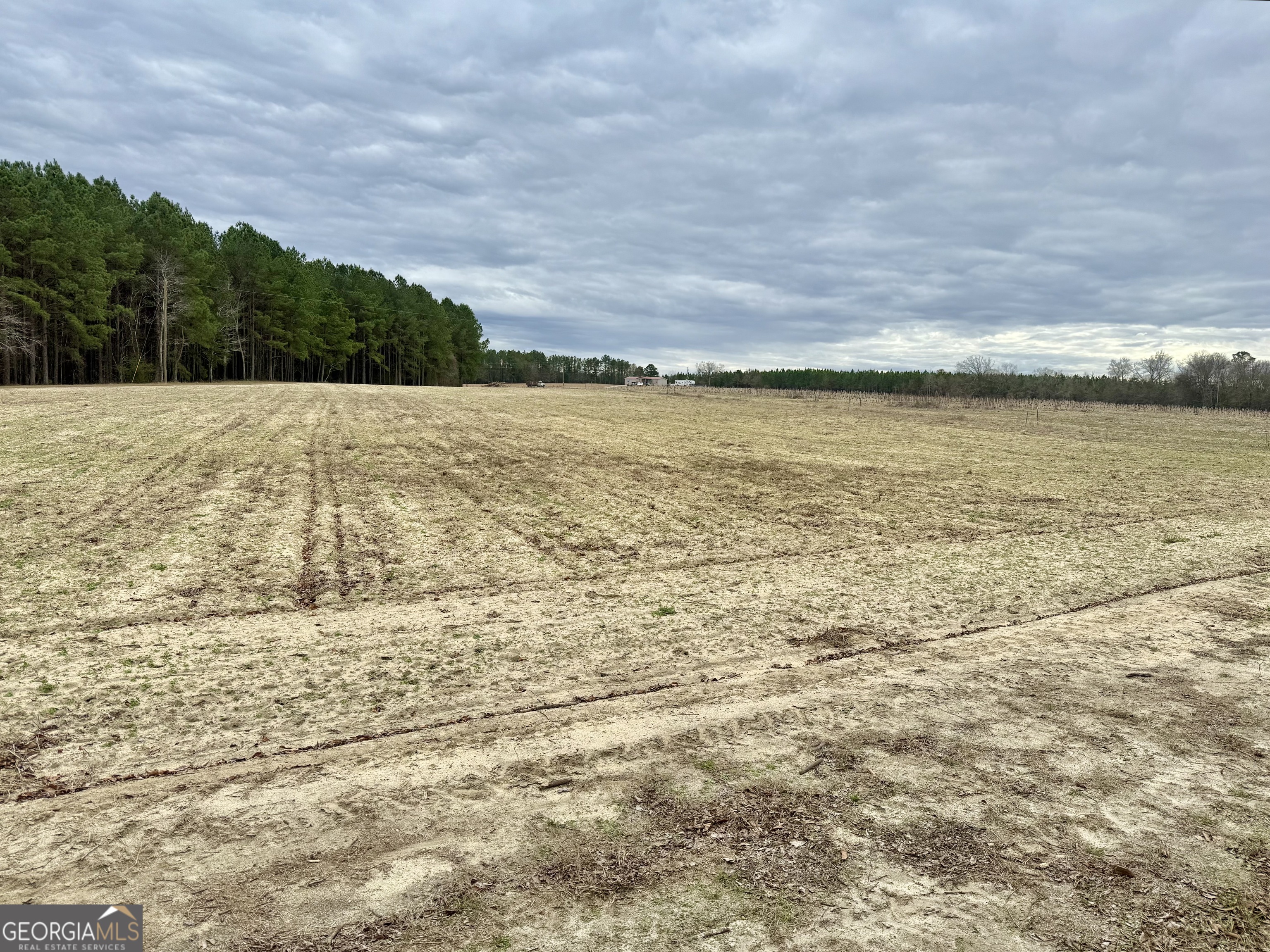 0 Davis Road Dexter, GA 31022 - Photo 6 of 17