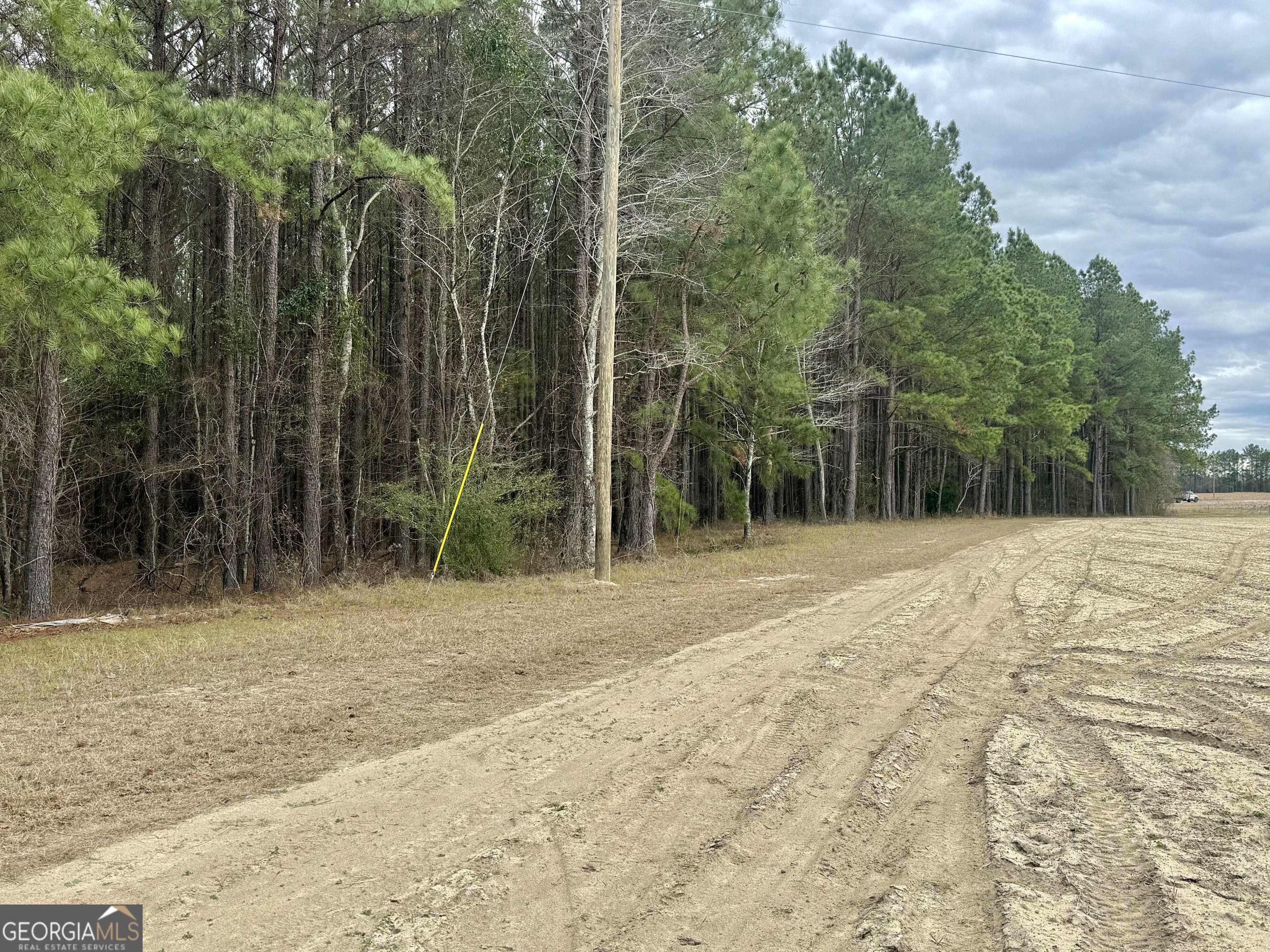 0 Davis Road Dexter, GA 31022 - Photo 8 of 17
