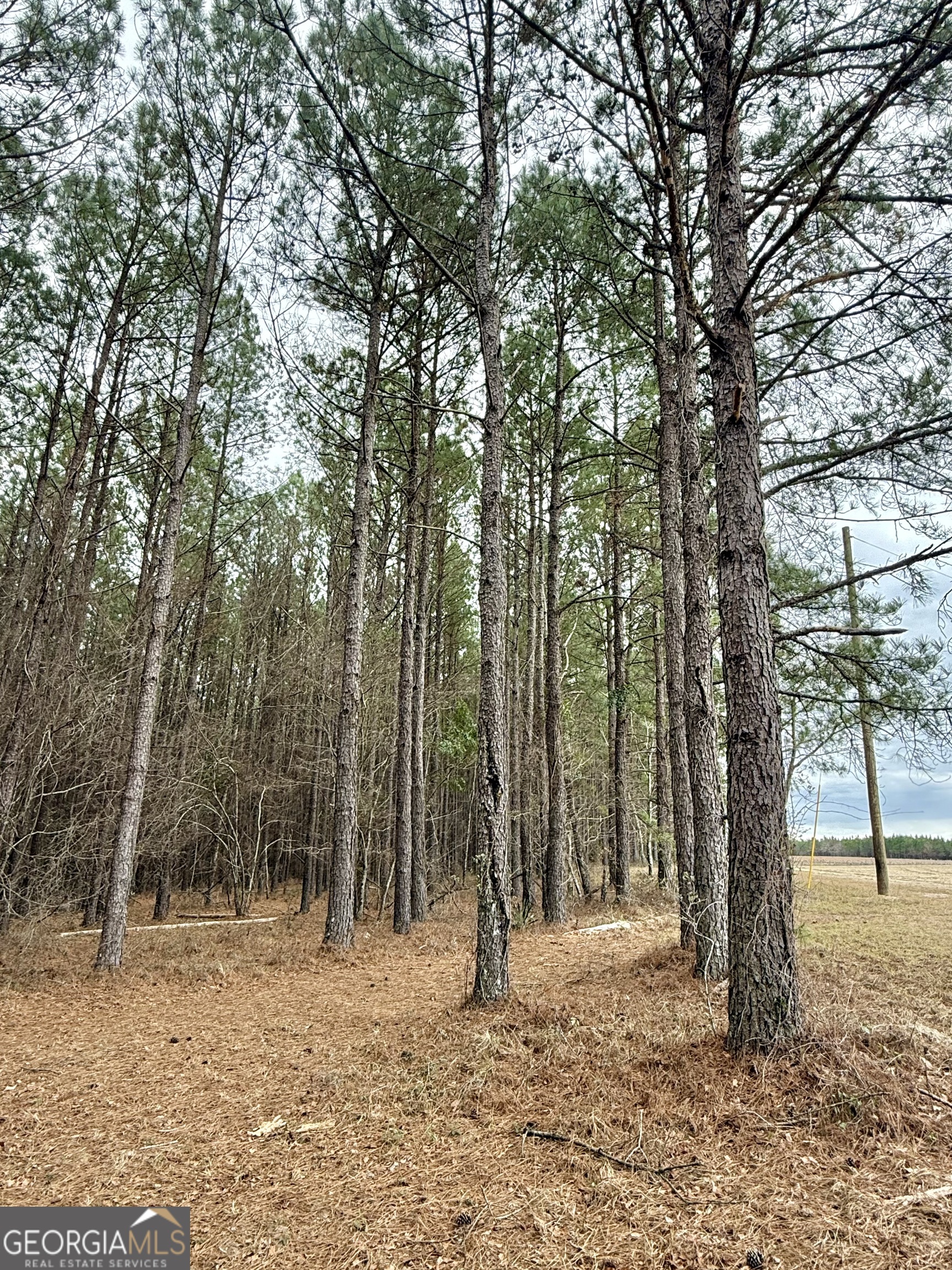 0 Davis Road Dexter, GA 31022 - Photo 9 of 17