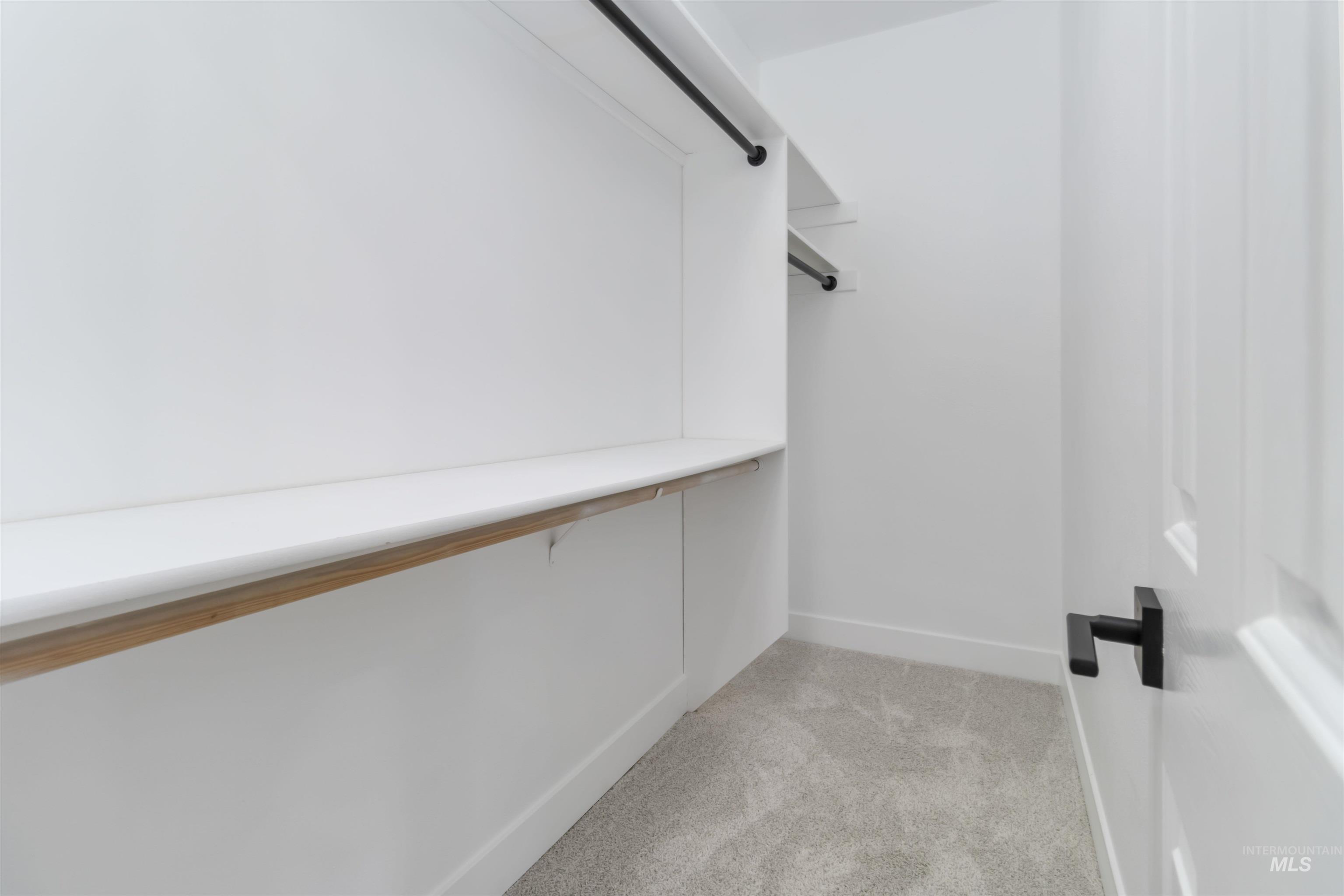 3201 Raintree Drive Nampa, ID 83686 - Photo 22 of 50 Walk in closet featuring light carpet