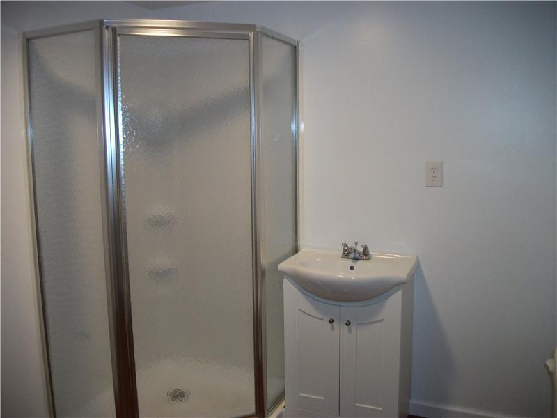 102 Ridge Avenue Rices Landing, PA 15357 - Photo 11 of 17 Full Bath. LOWER LEVEL