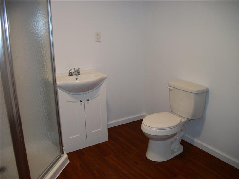 102 Ridge Avenue Rices Landing, PA 15357 - Photo 12 of 17 Full Bath. LOWER LEVEL