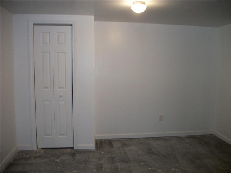 102 Ridge Avenue Rices Landing, PA 15357 - Photo 9 of 17 Den. LOWER LEVEL