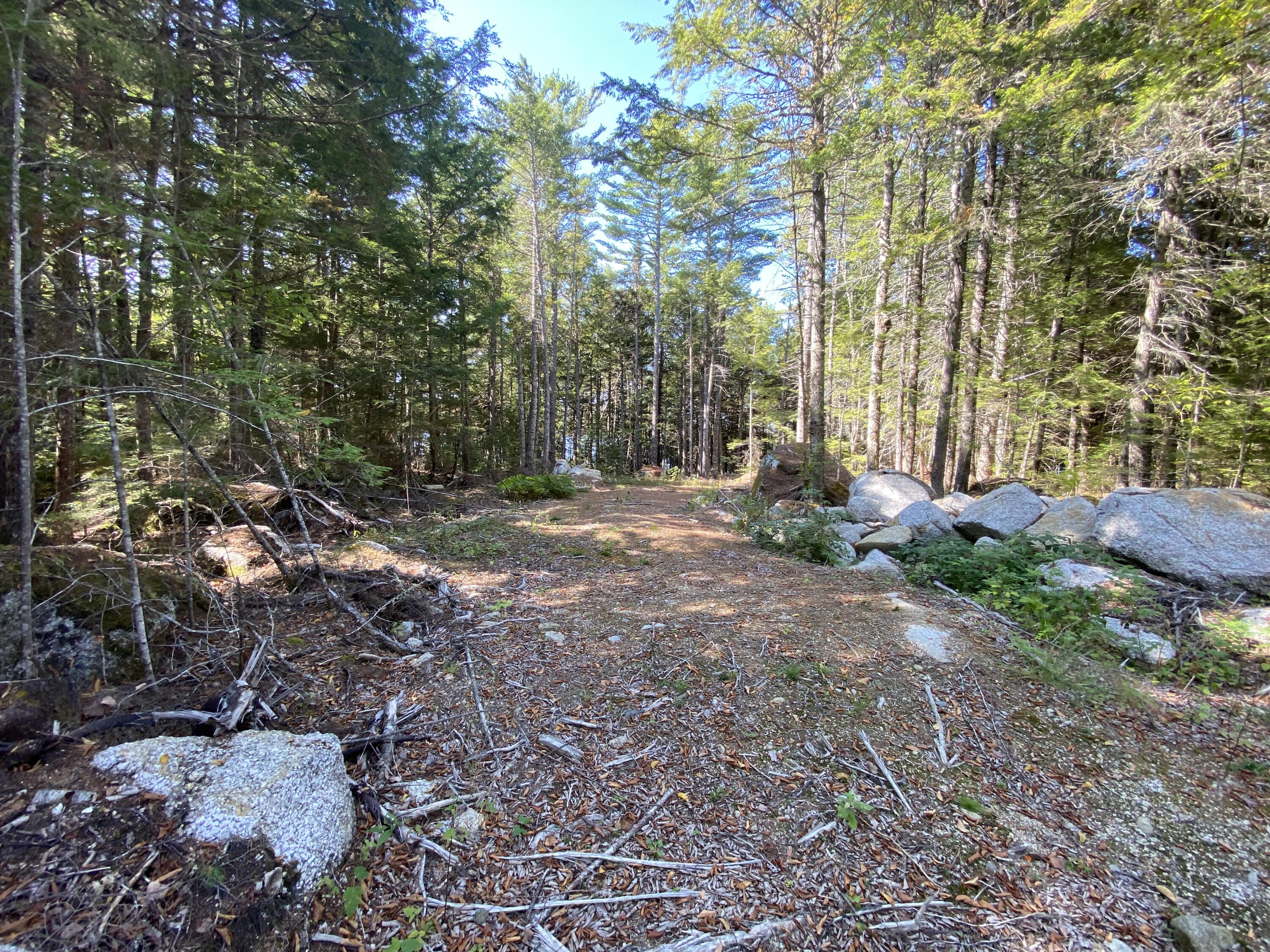 M06-lot18a Sys Road Lakeville, ME 04487 - Photo 4 of 23 IMG_5