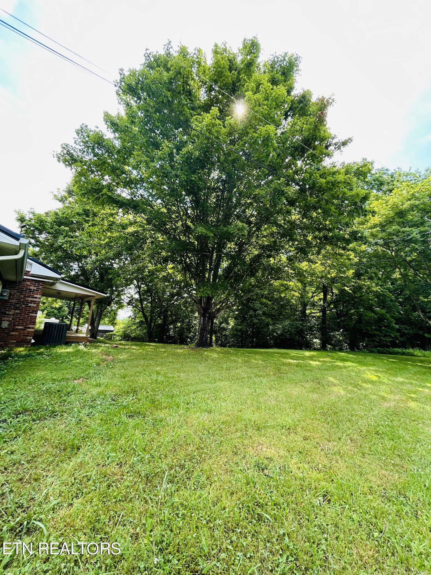 744 Cross Valley Road La Follette, TN 37766 - Photo 14 of 15 IMG_2760