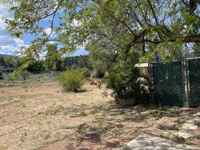 a view of a yard with plants and trees
