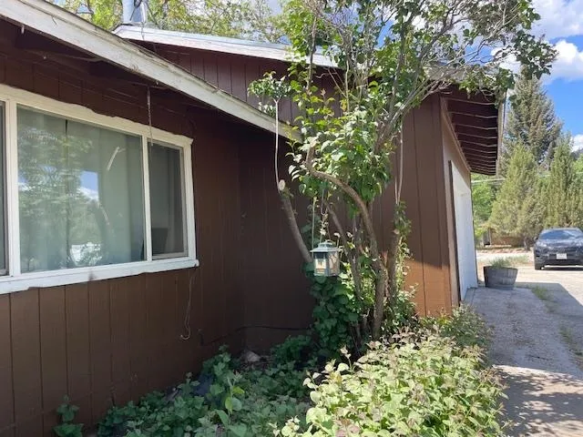 a couple of potted plants in front of door