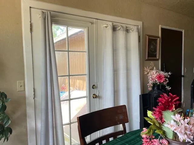 a view of a potted plant sitting in front of a door