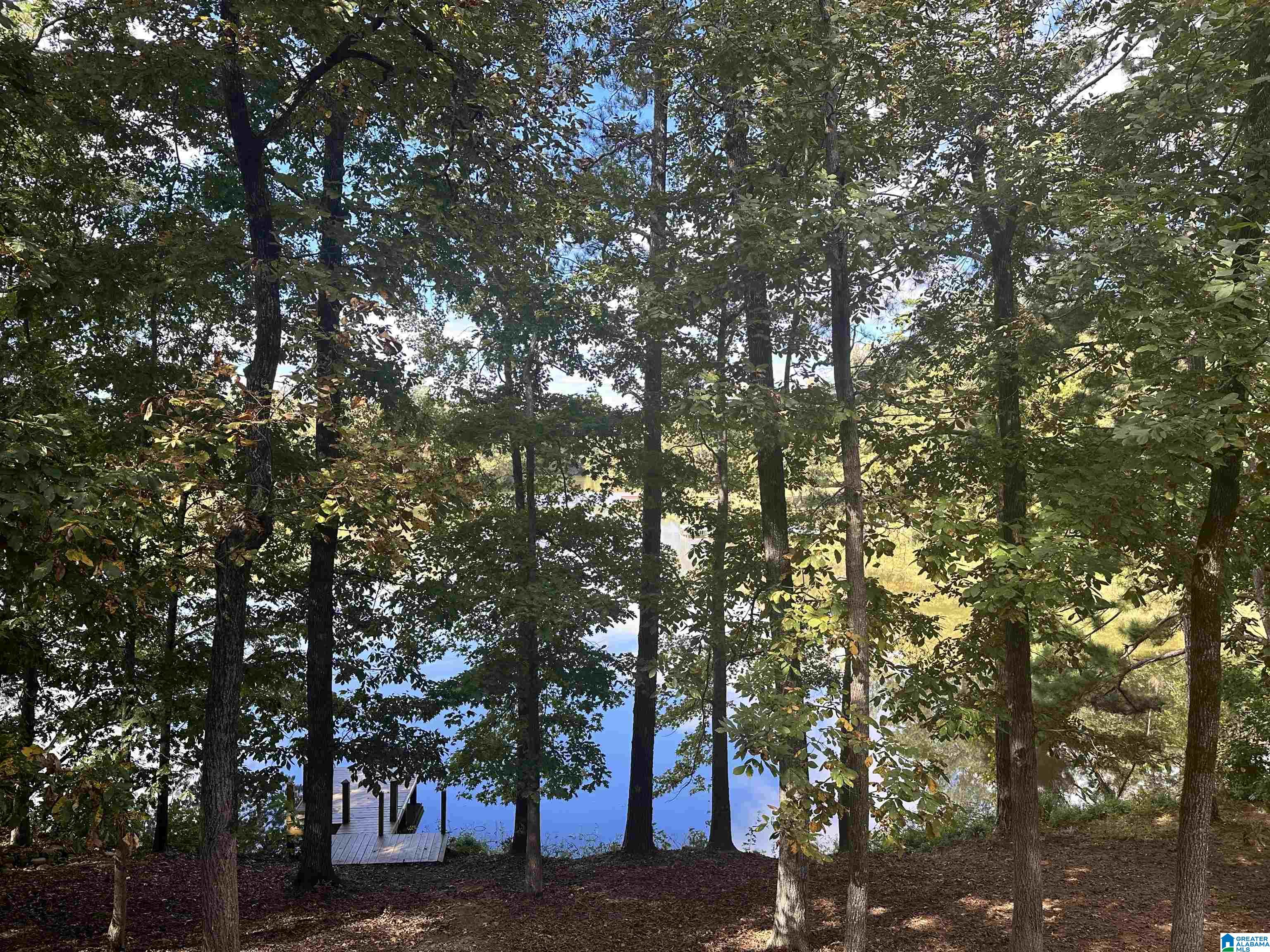 8 Seddon Point Pell City, AL 35128 - Photo 9 of 56