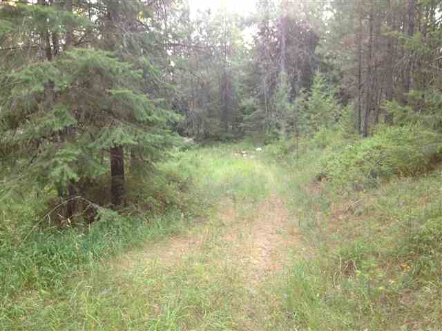 3921 Taylor Ranch Way Loon Lake, WA 99148 - Photo 1 of 3 Gallery Image 1