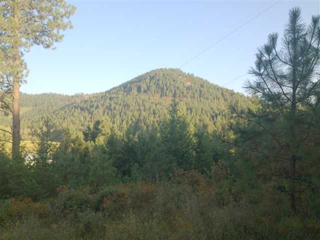 3921 Taylor Ranch Way Loon Lake, WA 99148 - Photo 2 of 3 Gallery Image 2