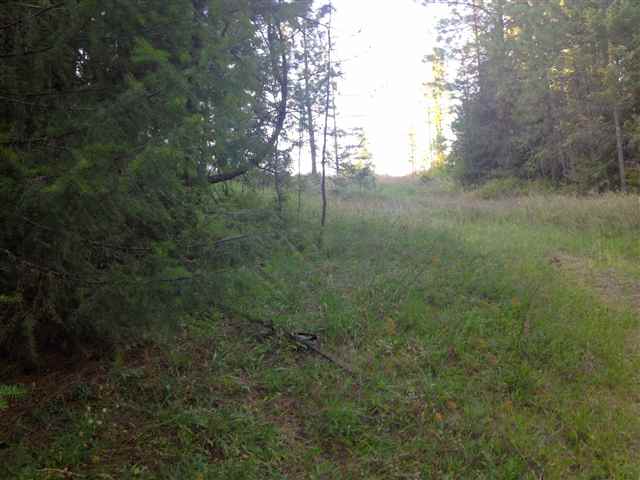 3921 Taylor Ranch Way Loon Lake, WA 99148 - Photo 3 of 3 Gallery Image 3