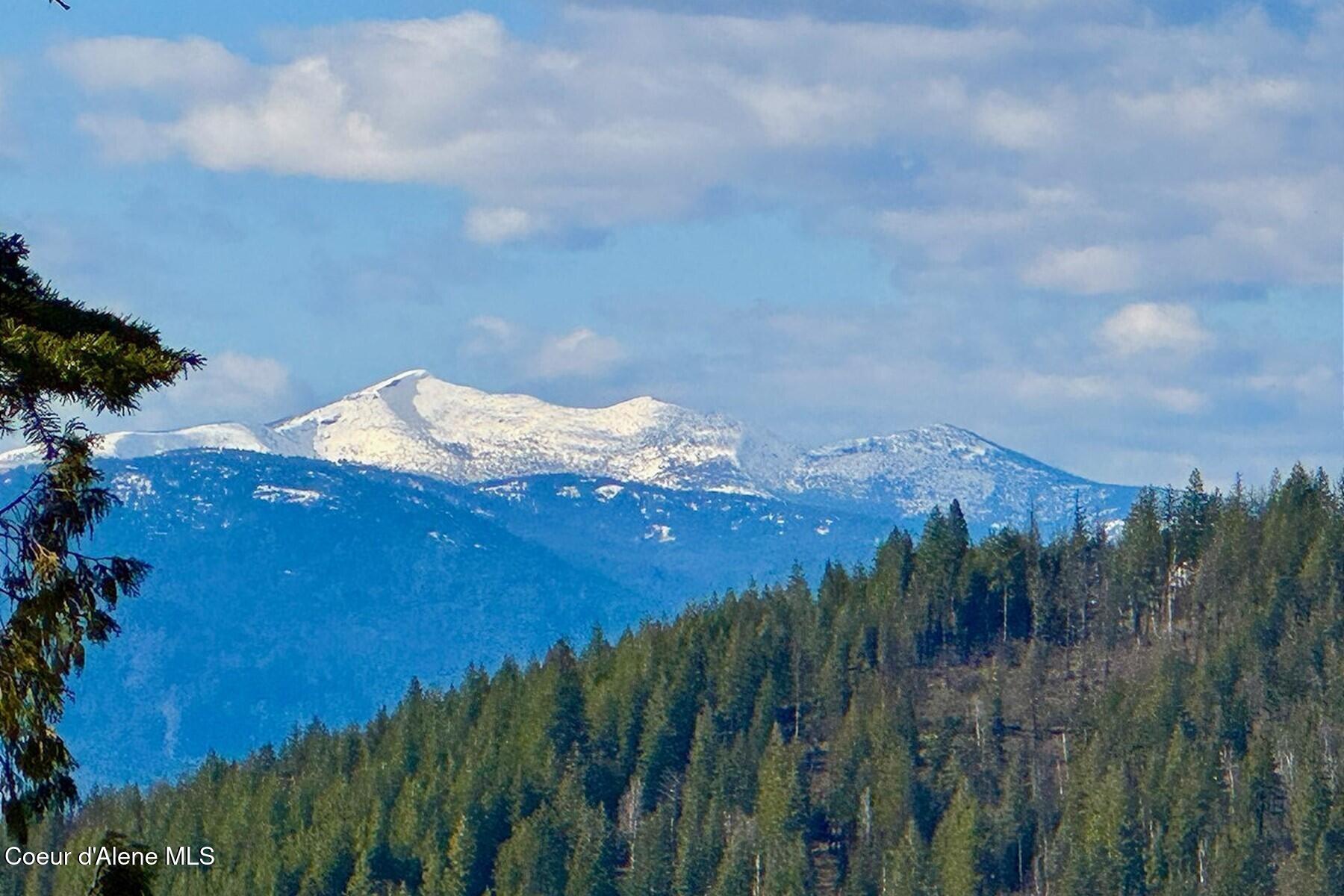 101 Green Monarch Lane Sandpoint, ID 83864 - Photo 13 of 59 Roman Nose Views