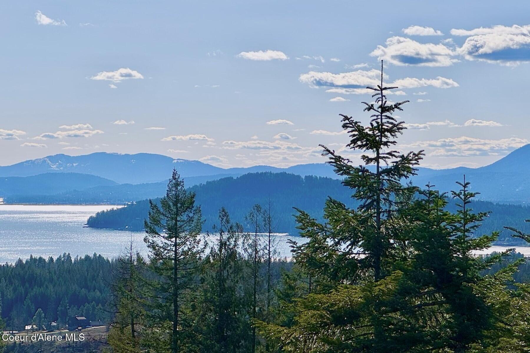 101 Green Monarch Lane Sandpoint, ID 83864 - Photo 15 of 59 180 Degree Views