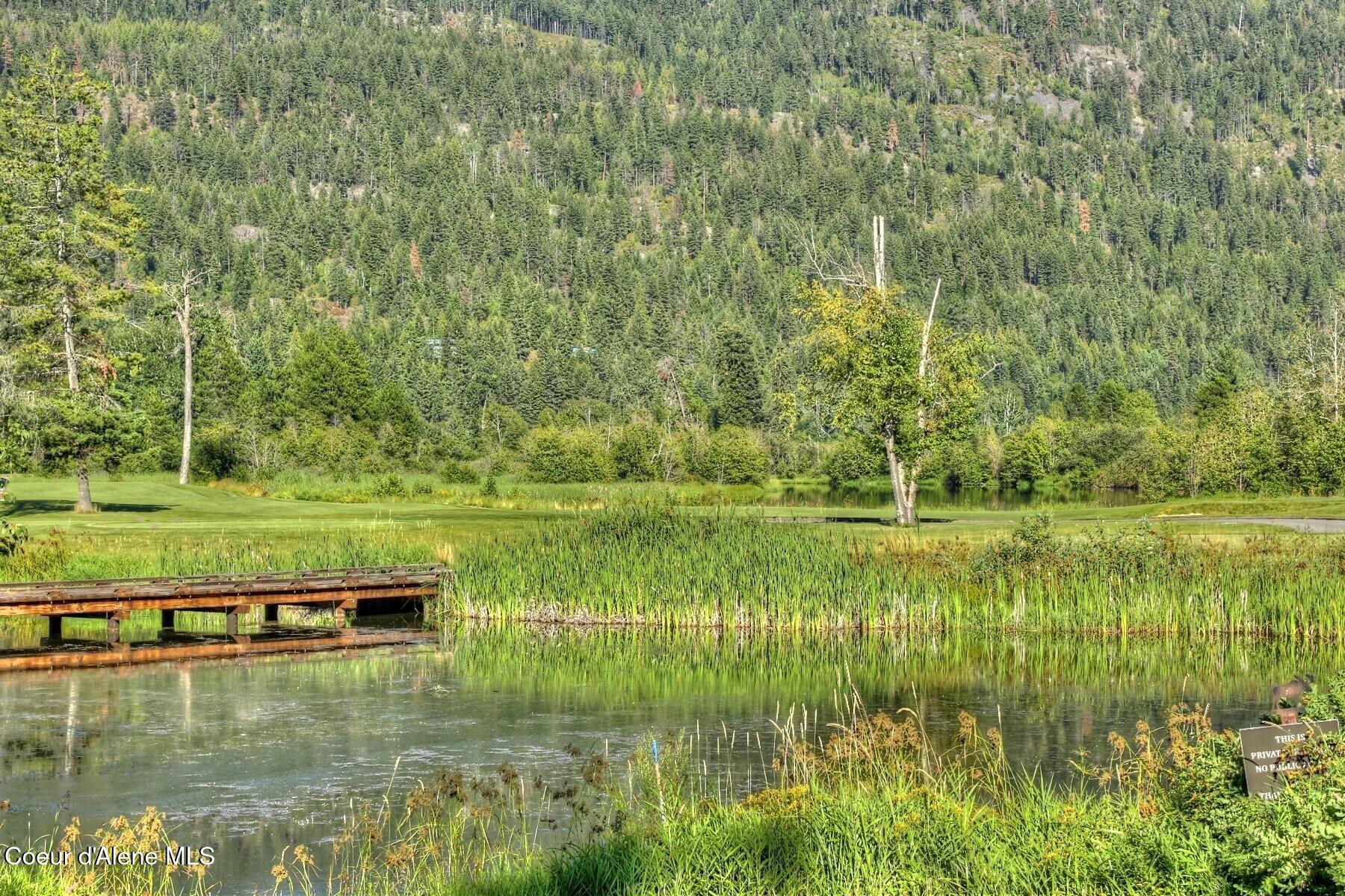 101 Green Monarch Lane Sandpoint, ID 83864 - Photo 30 of 59 Scenic beauty