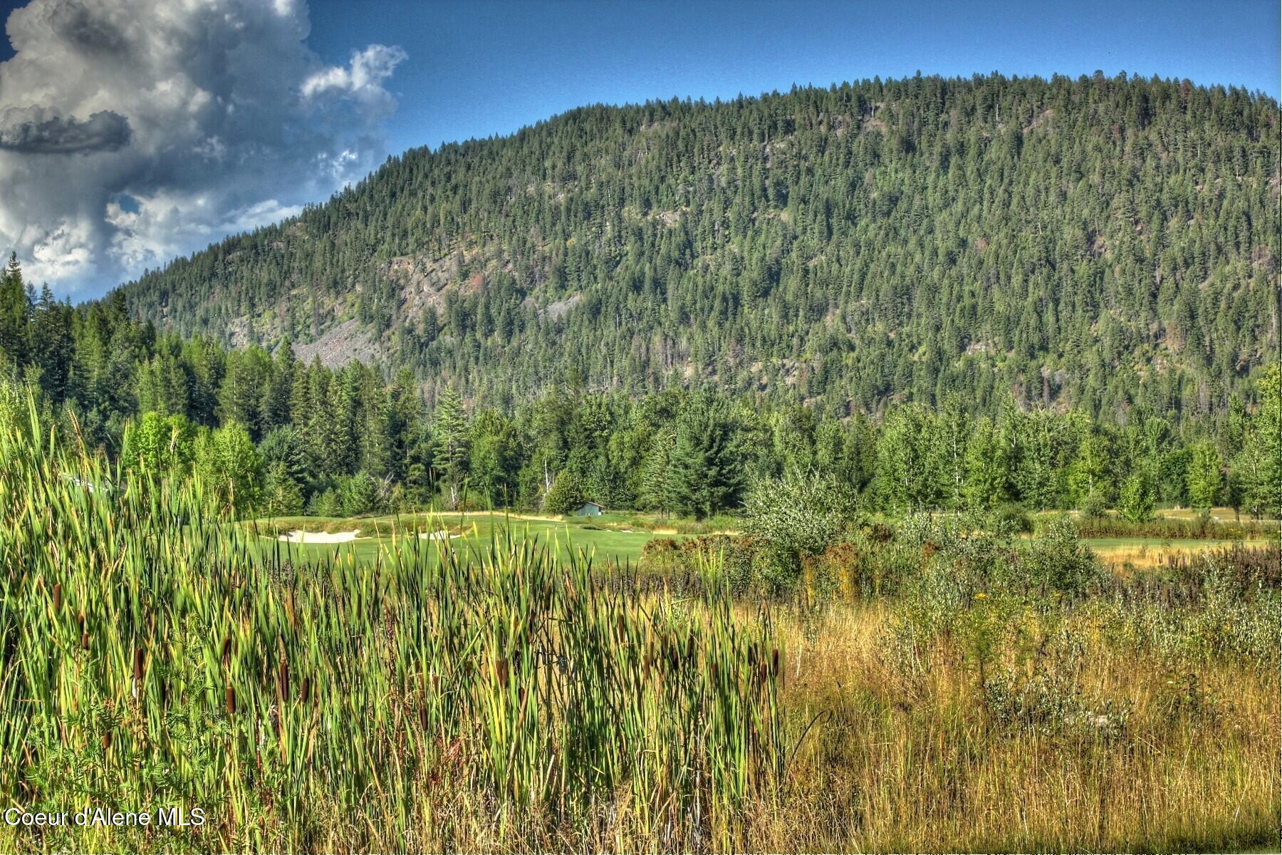 101 Green Monarch Lane Sandpoint, ID 83864 - Photo 31 of 59 034 Mountain Viewsjpg