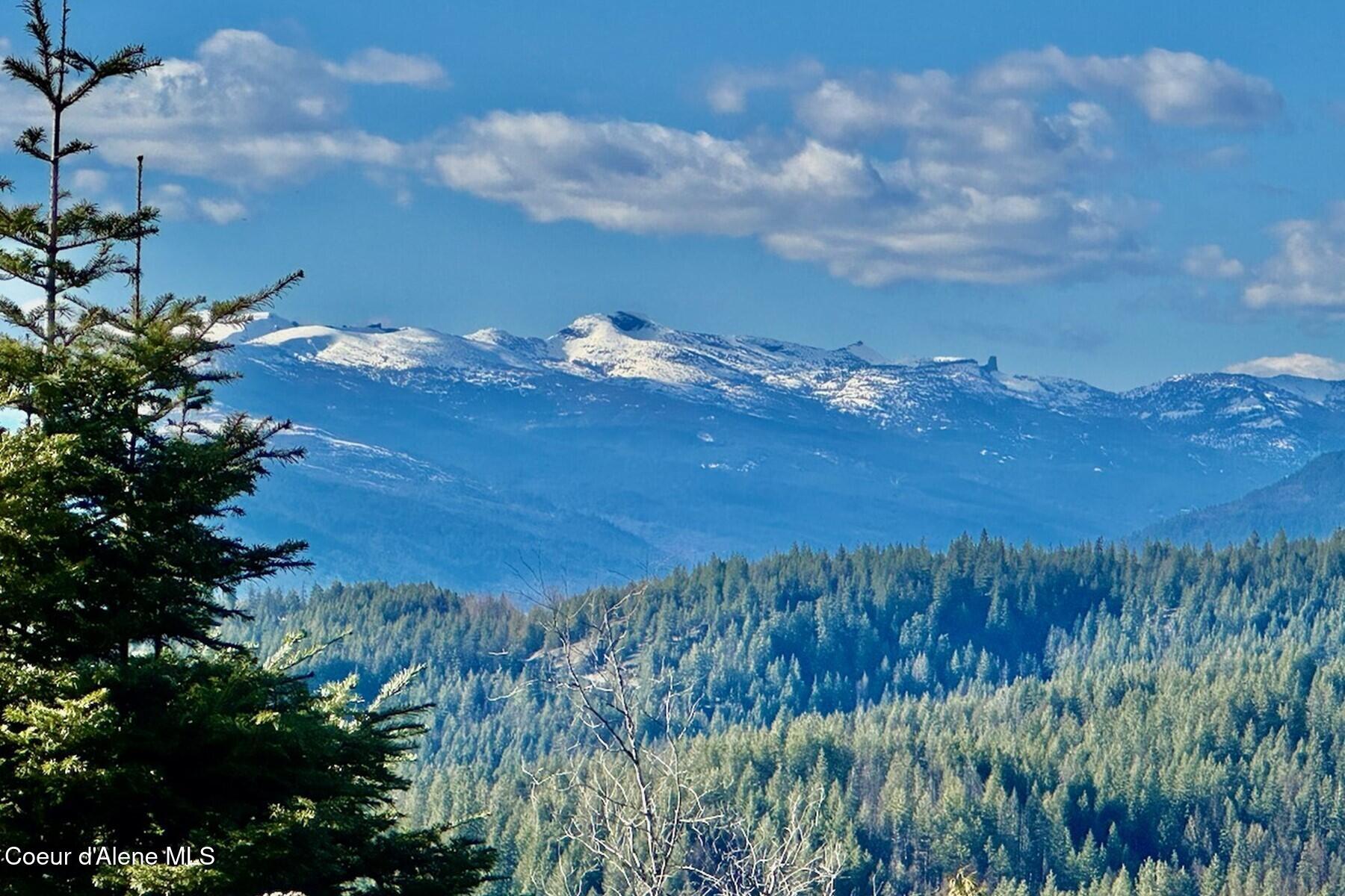 101 Green Monarch Lane Sandpoint, ID 83864 - Photo 7 of 59 Chimney Rock Views