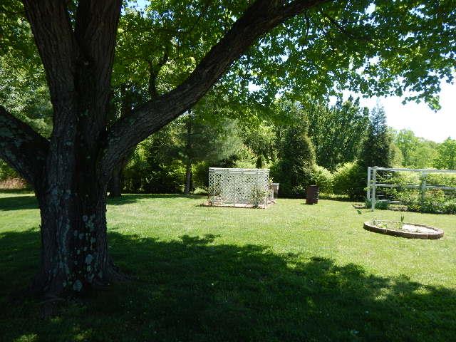 820 Spring Valley Road McMinnville, TN 37110 - Photo 29 of 30 Grape vines + more