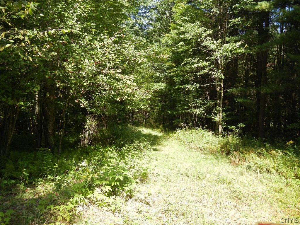 7213 Kotel Road Watson, NY 13367 - Photo 1 of 1 Gallery Image 1