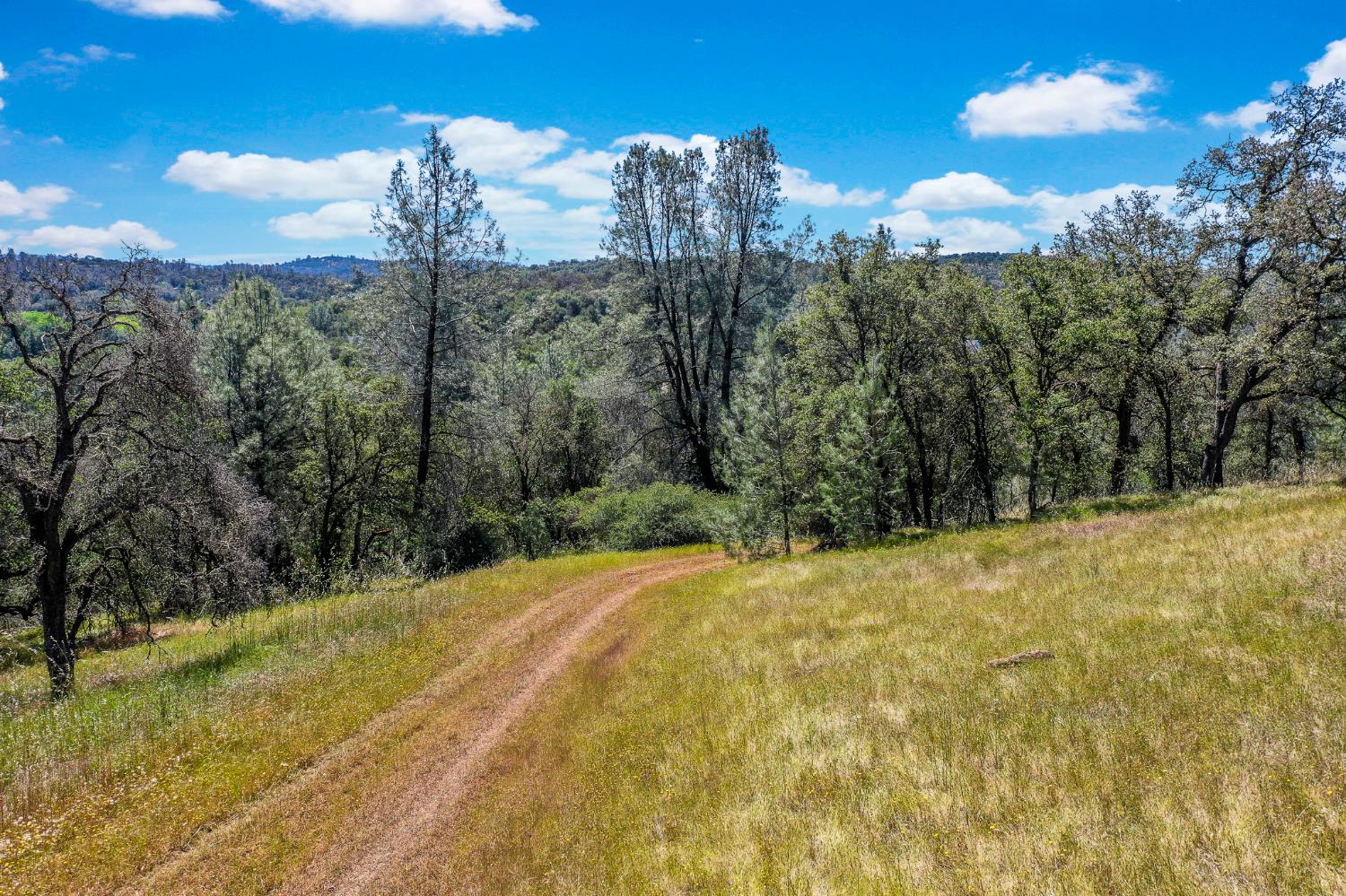 29 Township Road Browns Valley, CA 95918 - Photo 58 of 62 Gallery Image 58