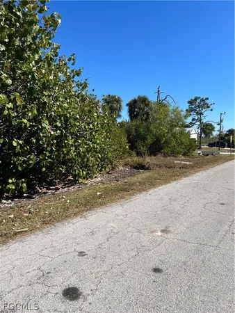 a view of a yard with a tree