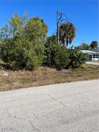 a view of a yard with a tree