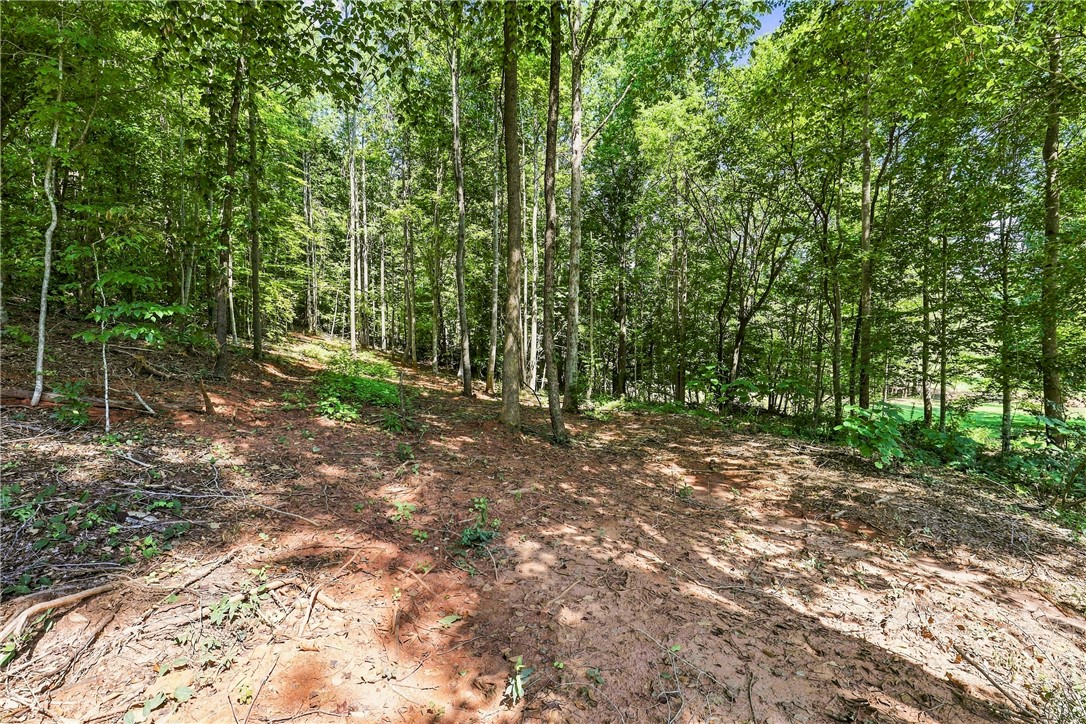 216 West Halfway Branch Road Walhalla, SC 29691 - Photo 30 of 41 Mature trees frame a gentle slope on this serene wooded lot.