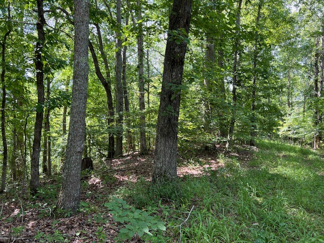 362 Cane Creek Road Hohenwald, TN 38462 - Photo 24 of 46 Gallery Image 24
