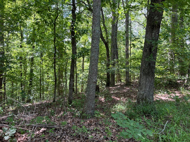 362 Cane Creek Road Hohenwald, TN 38462 - Photo 25 of 46 Gallery Image 25