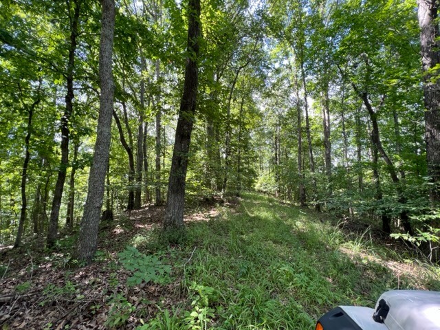 362 Cane Creek Road Hohenwald, TN 38462 - Photo 28 of 46 Gallery Image 28