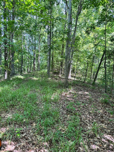 362 Cane Creek Road Hohenwald, TN 38462 - Photo 32 of 46 Gallery Image 32