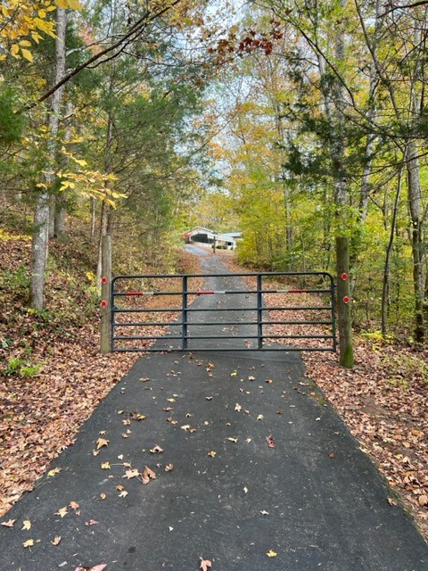 362 Cane Creek Road Hohenwald, TN 38462 - Photo 33 of 46 Gallery Image 33