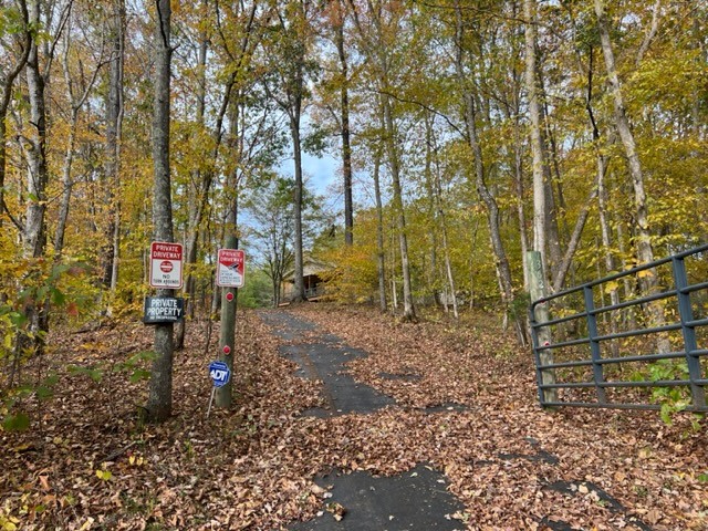 362 Cane Creek Road Hohenwald, TN 38462 - Photo 34 of 46 Gallery Image 34