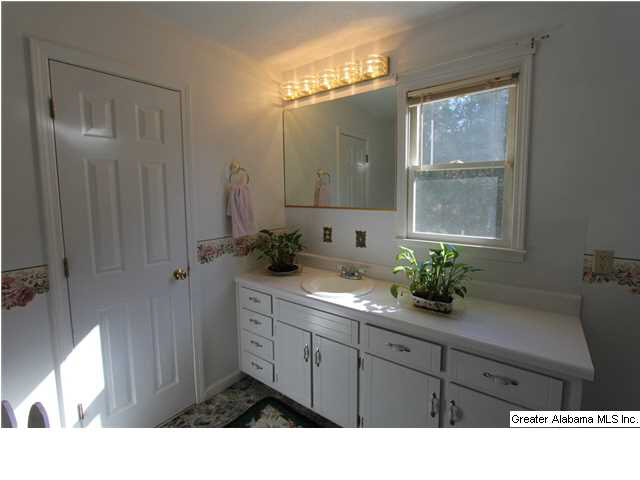 1019 County Road 233 Fruithurst, AL 36262 - Photo 26 of 32