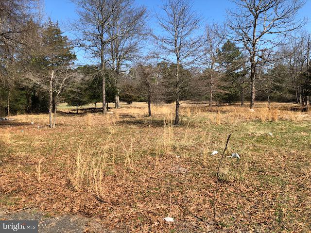 106 Dixontown Road Medford, NJ 08055 - Photo 14 of 33