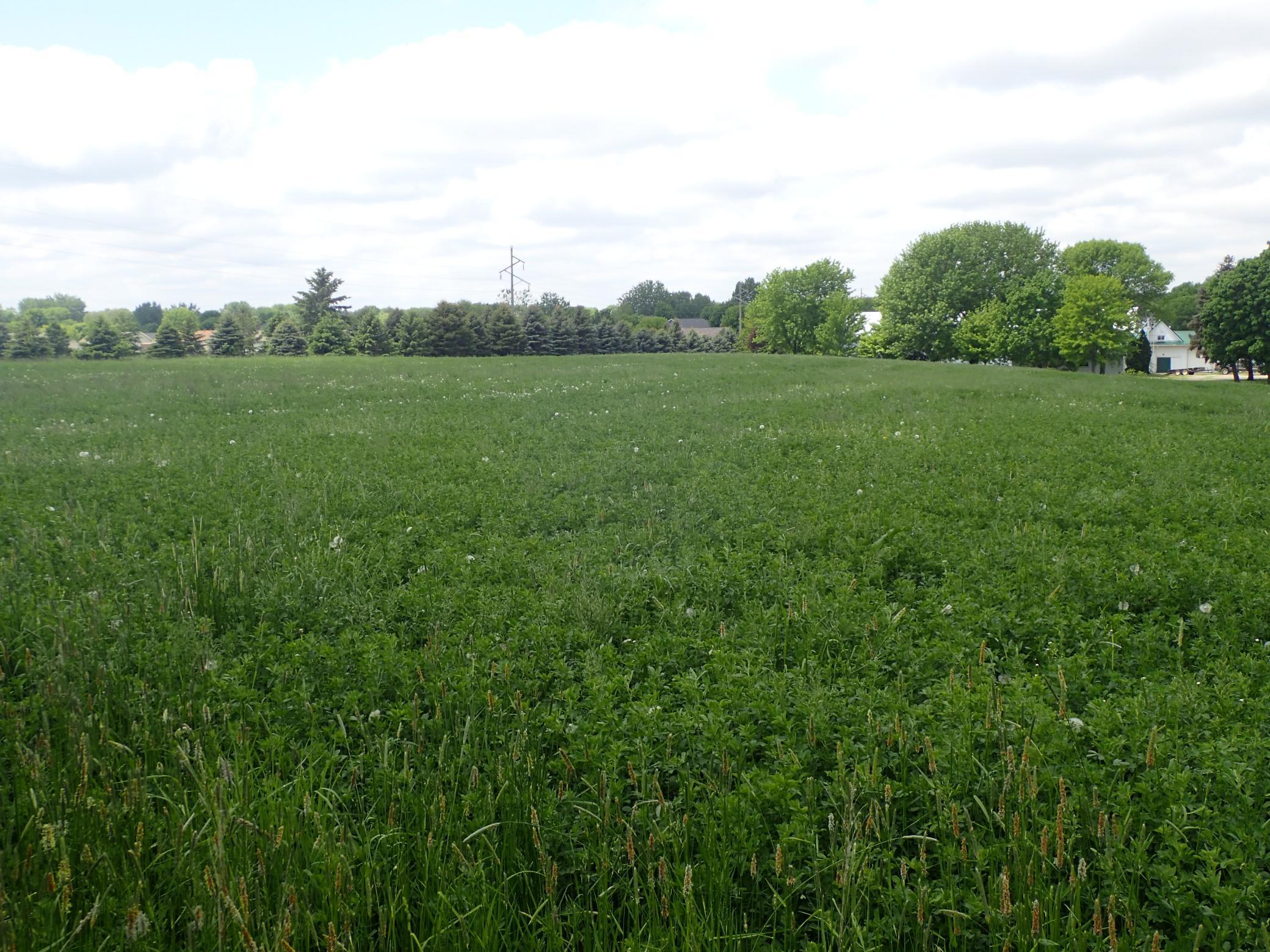 1430 Pulaski Road Buffalo, MN 55313 - Photo 32 of 35