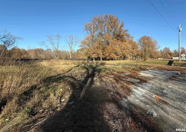 a view of a yard with trees