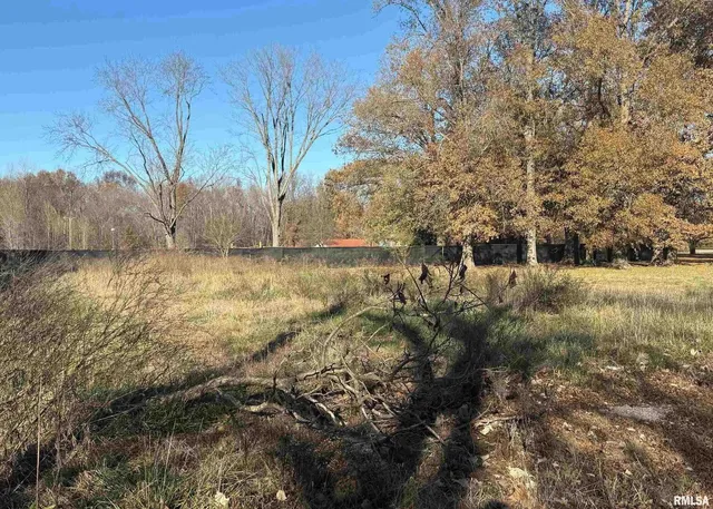 a view of a yard with wooden fence