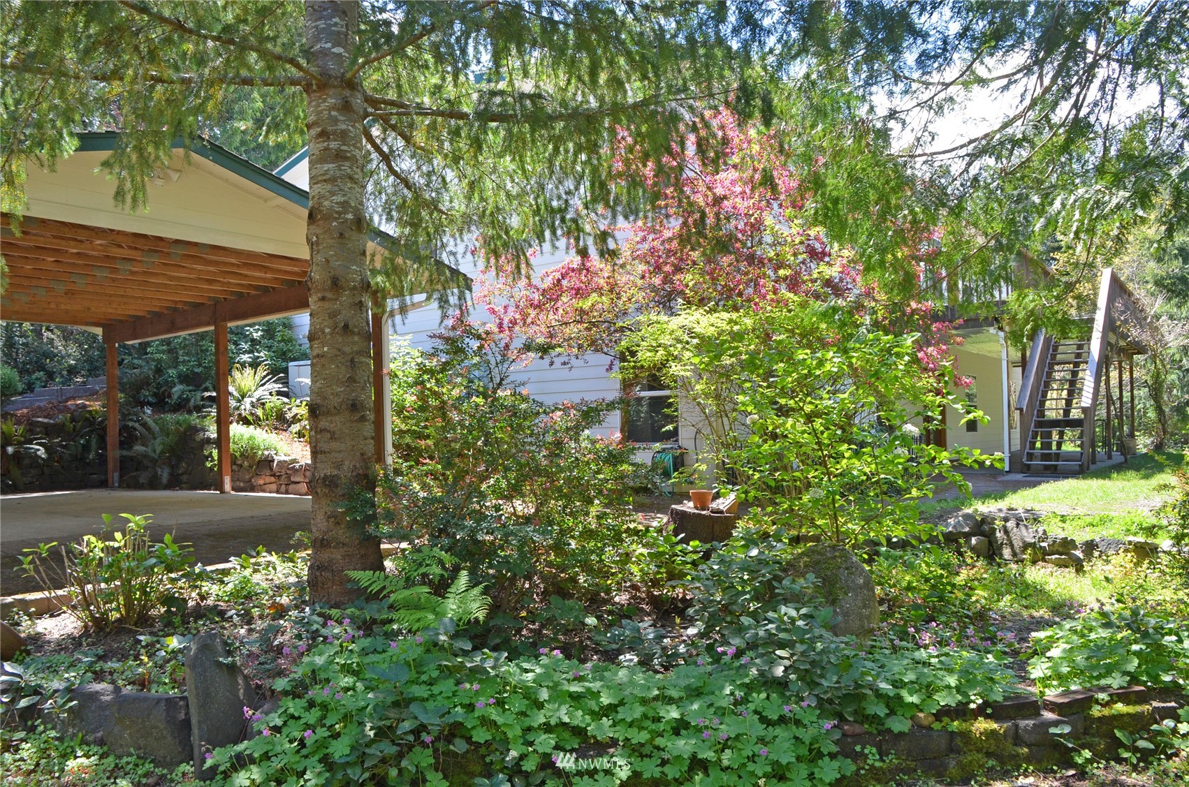4704 Whiteman Road Southwest Longbranch, WA 98351 - Photo 34 of 40 a view of a yard with plants