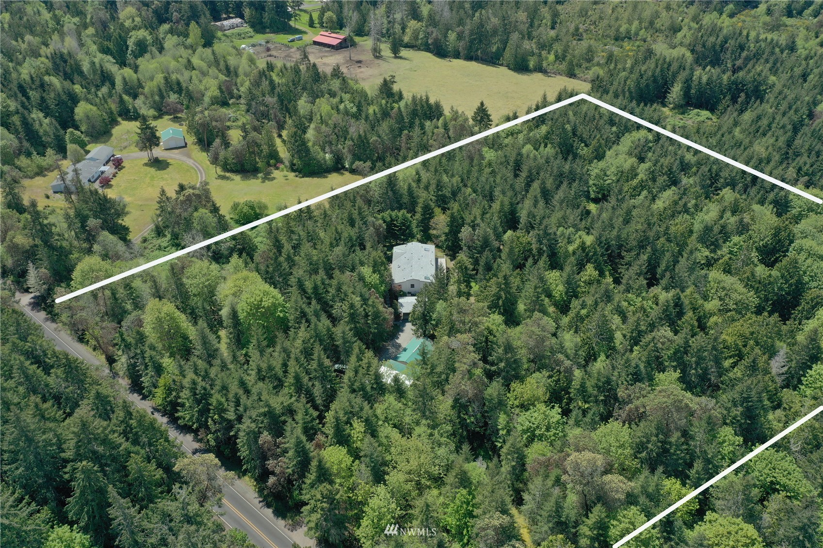 4704 Whiteman Road Southwest Longbranch, WA 98351 - Photo 38 of 40 a view of a forest from a balcony