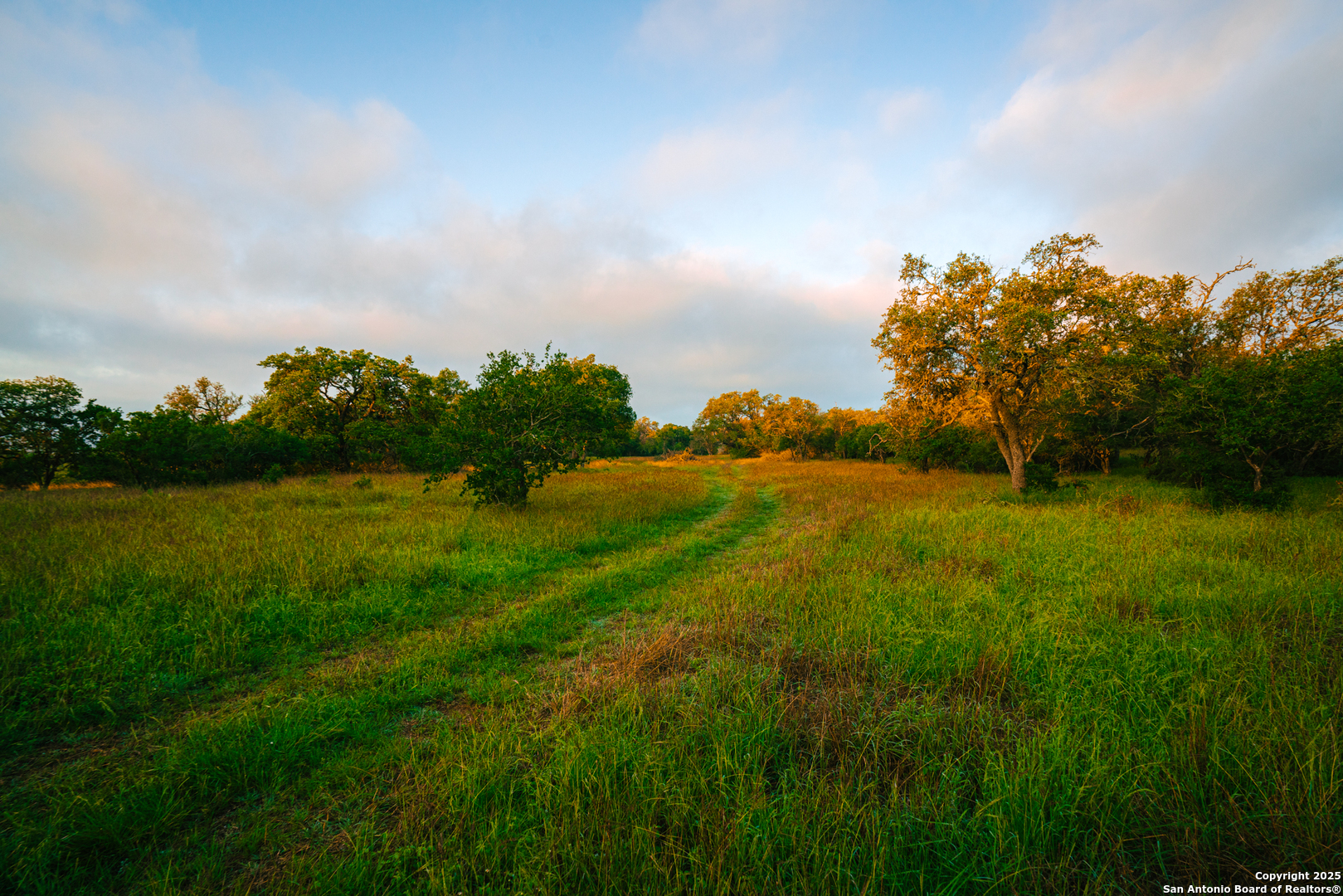 0 Running Buck Spring Branch, TX 78070 - Photo 1 of 7 a view of a garden