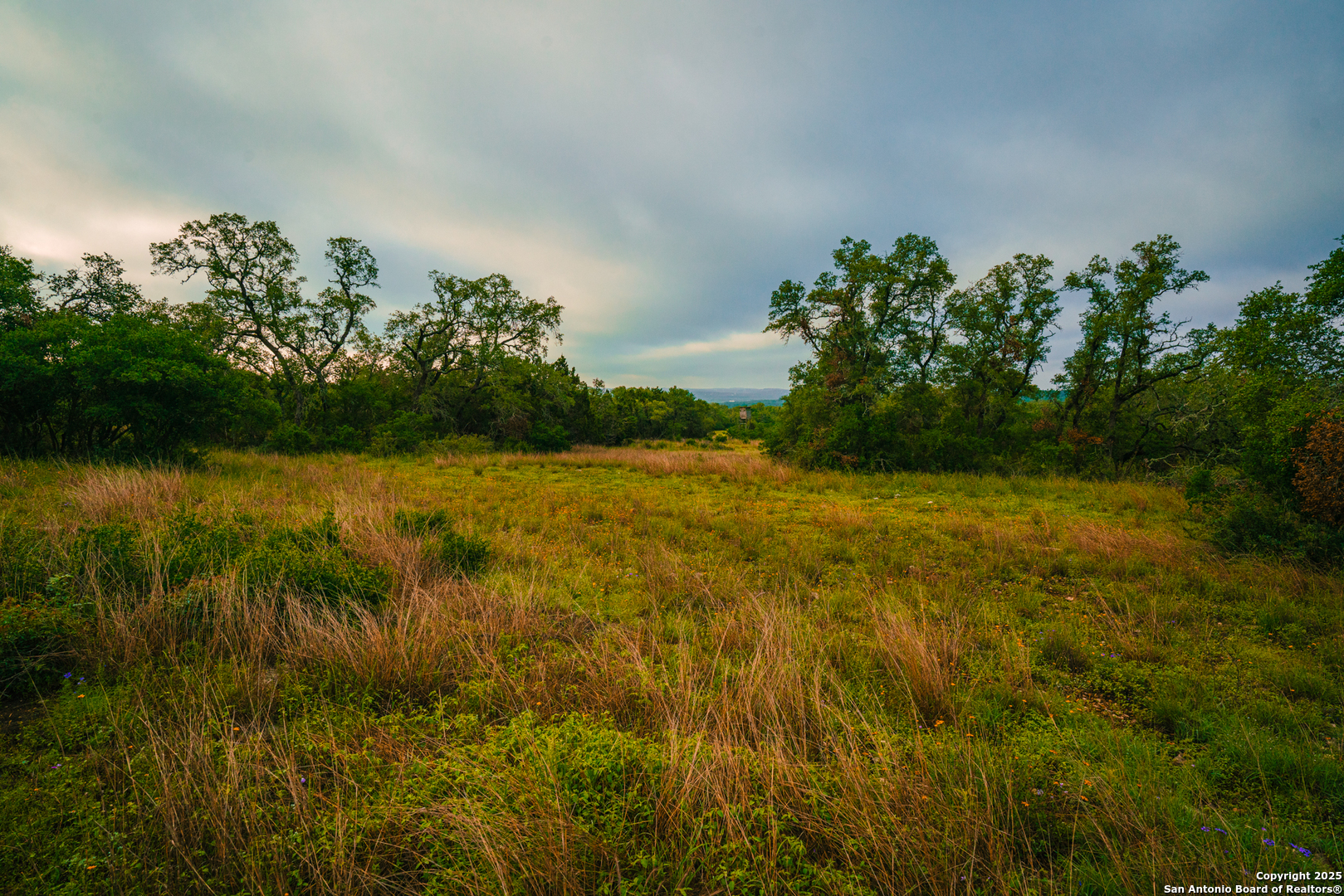 0 Running Buck Spring Branch, TX 78070 - Photo 2 of 7 a view of yard with green space