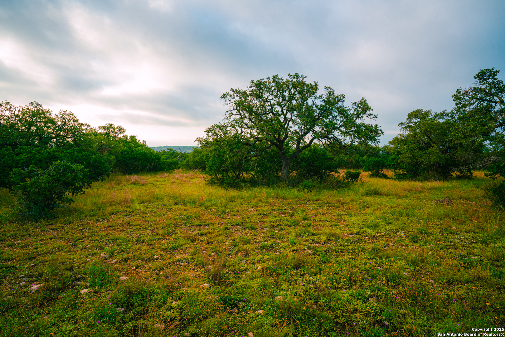 0 Running Buck Spring Branch, TX 78070 - Photo 3 of 7 a view of yard with swimming pool and green space