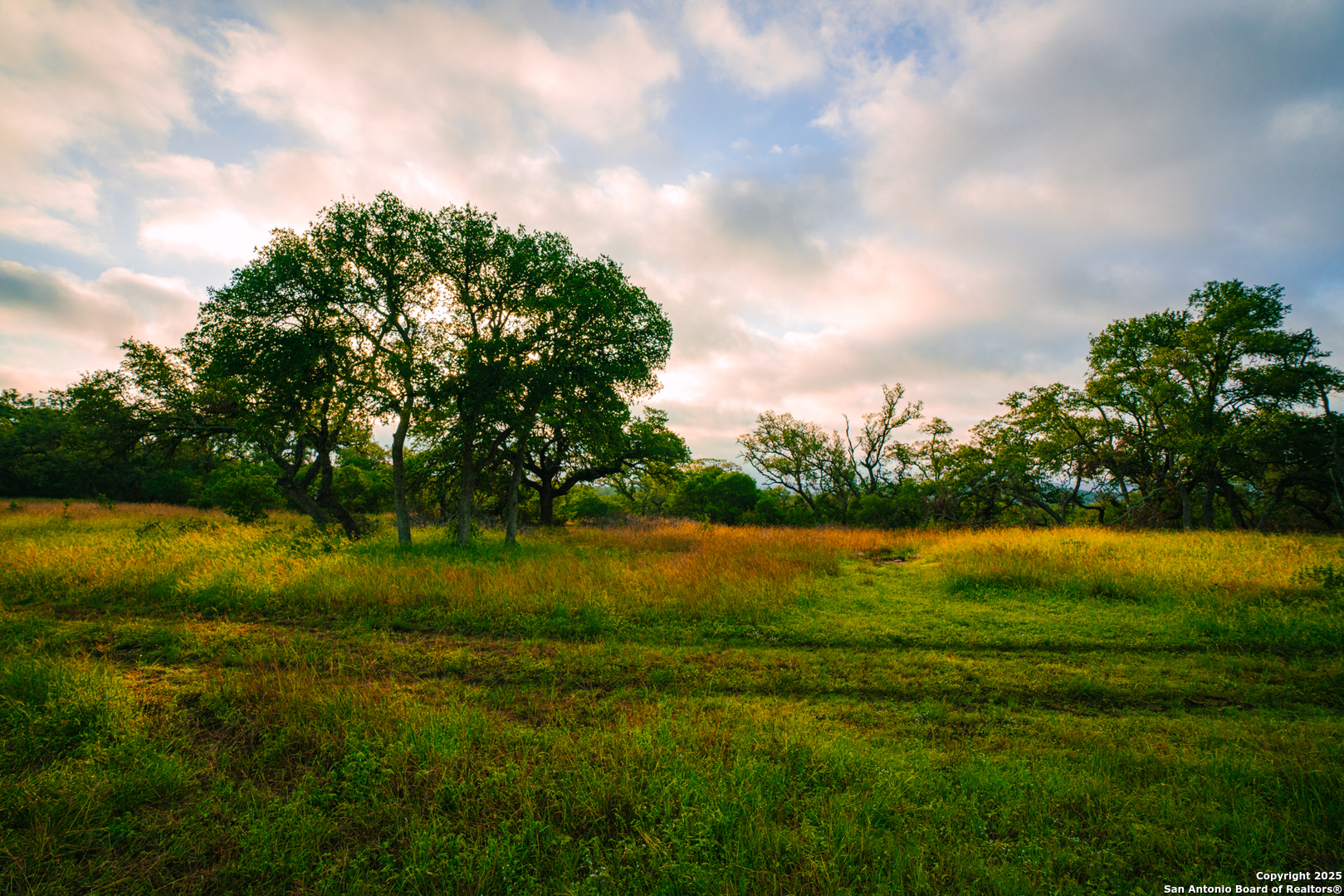 0 Running Buck Spring Branch, TX 78070 - Photo 6 of 7 a view of a lake