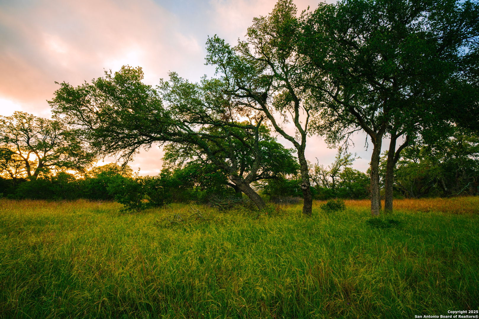 0 Running Buck Spring Branch, TX 78070 - Photo 7 of 7 a backyard of a house with lots of green space and plants