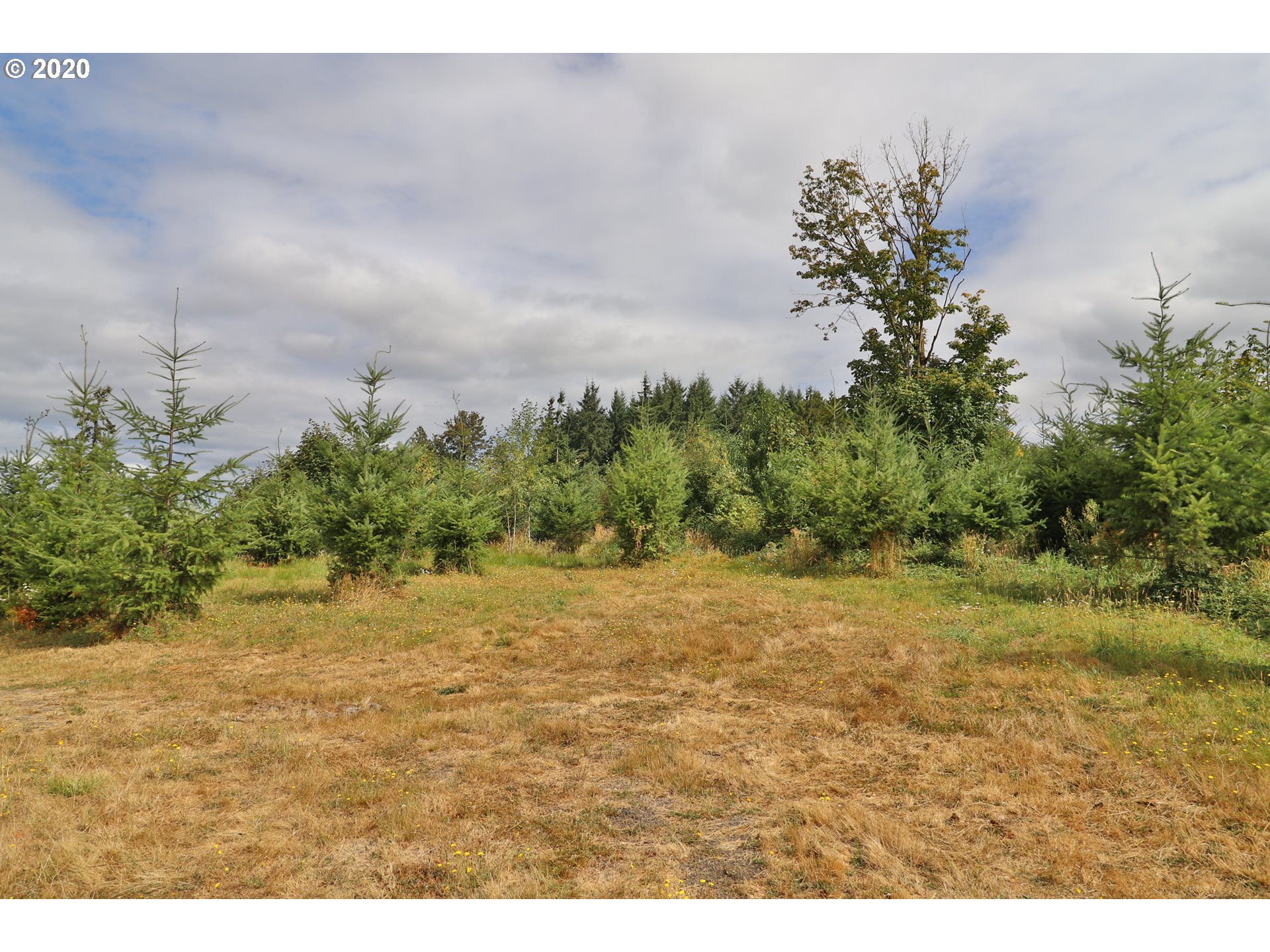 Lumijarvi Road Clatskanie, OR 97016 - Photo 2 of 9 Gallery Image 2
