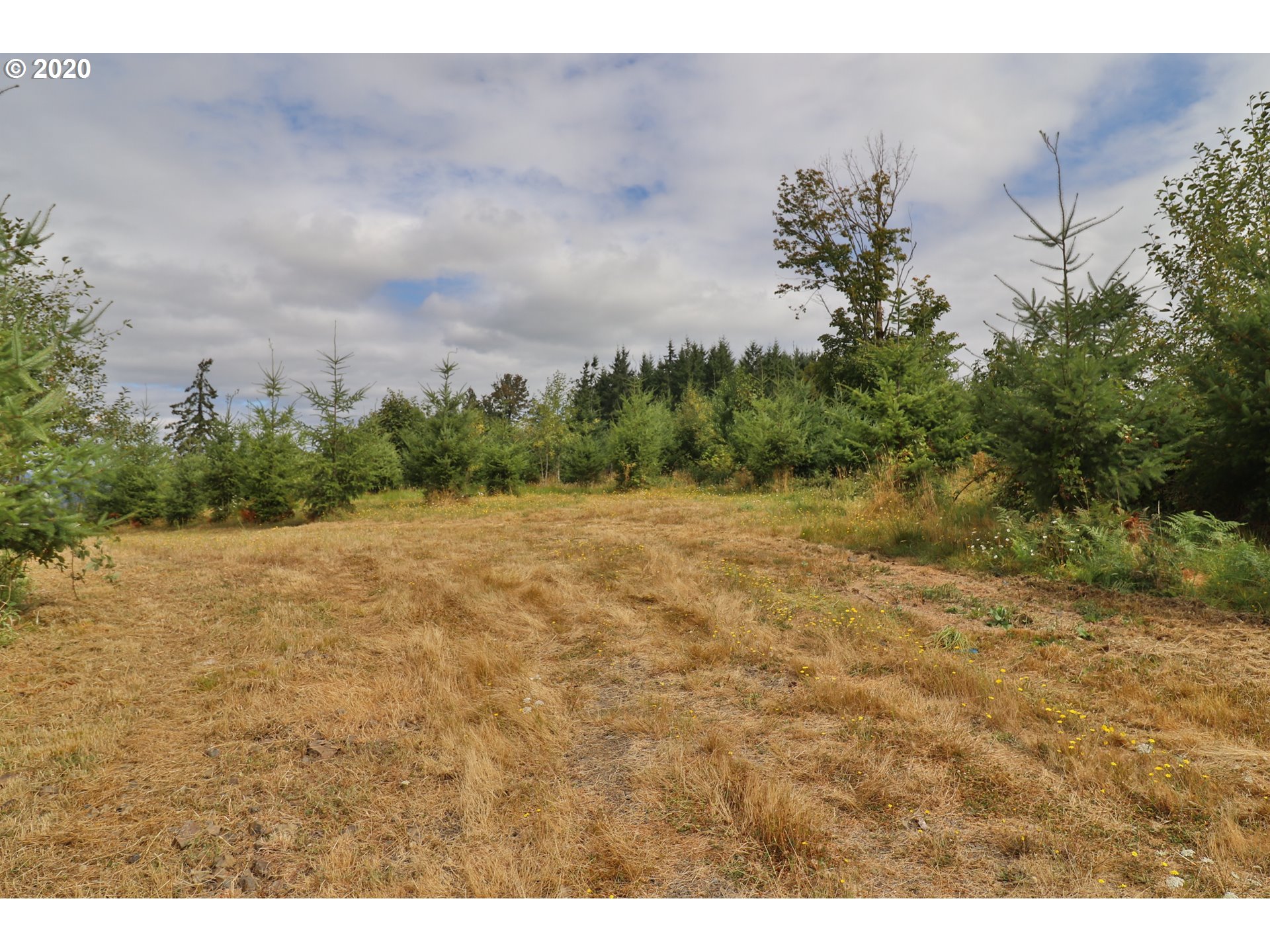 Lumijarvi Road Clatskanie, OR 97016 - Photo 8 of 9 Gallery Image 8