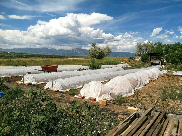 a view of a backyard of the house