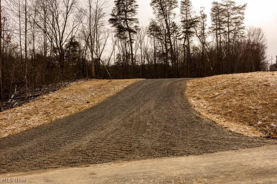 0 Holbrook Road Beaver, OH 45613 - Photo 11 of 12